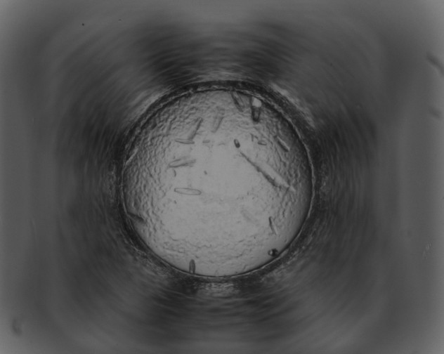 X0000092331313200710051307