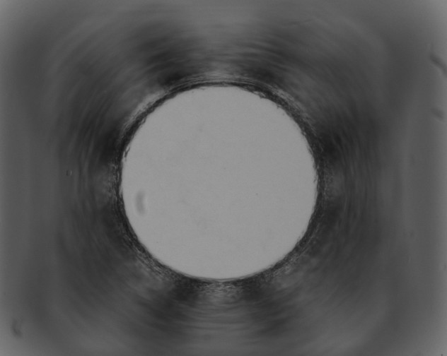 X0000092331314200710051307