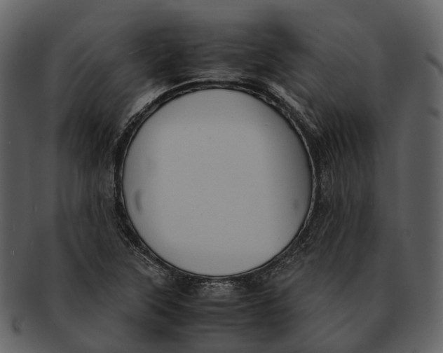 X0000092331315200710051307