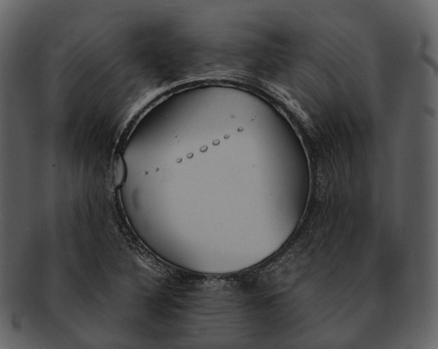 X0000092331316200710051307