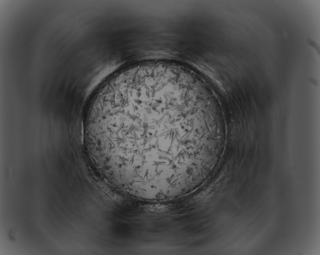 X0000092331317200710051307