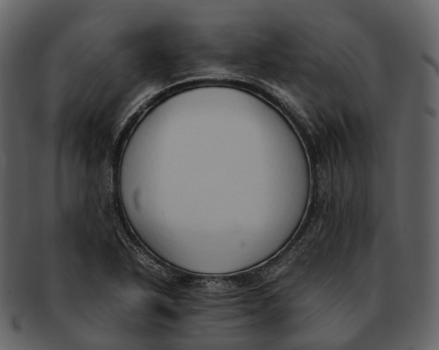 X0000092331318200710051307