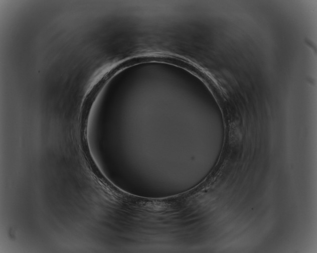 X0000092331319200710051307