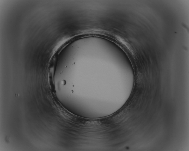 X0000092331320200710051307