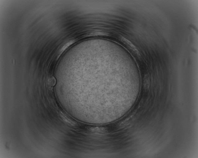 X0000092331321200710051308