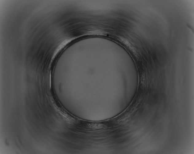 X0000092331323200710051308