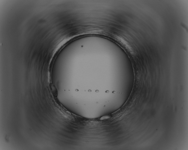 X0000092331324200710051308