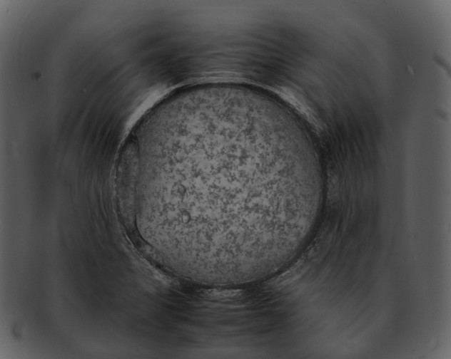 X0000092331325200710051308
