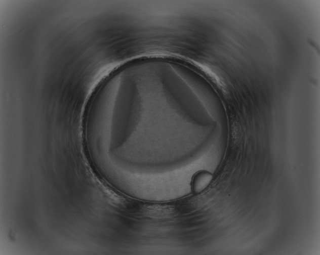 X0000092331327200710051308