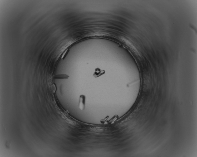 X0000092331329200710051308