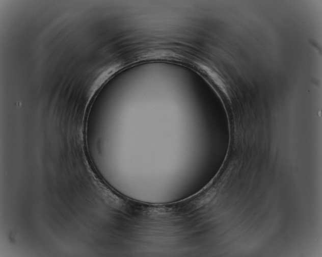 X0000092331330200710051308