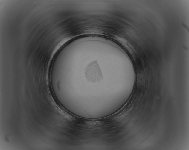 X0000092331331200710051308