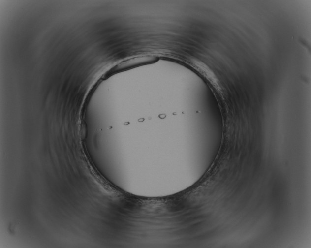 X0000092331332200710051308