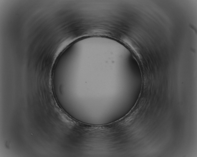 X0000092331336200710051308