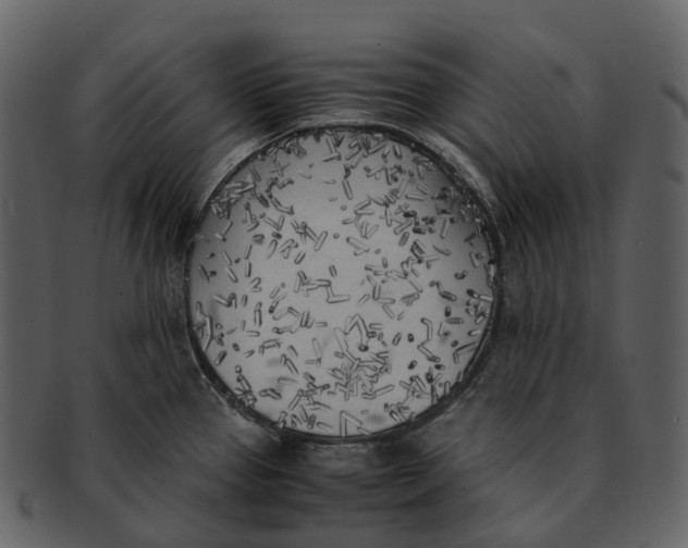 X0000092331337200710051308