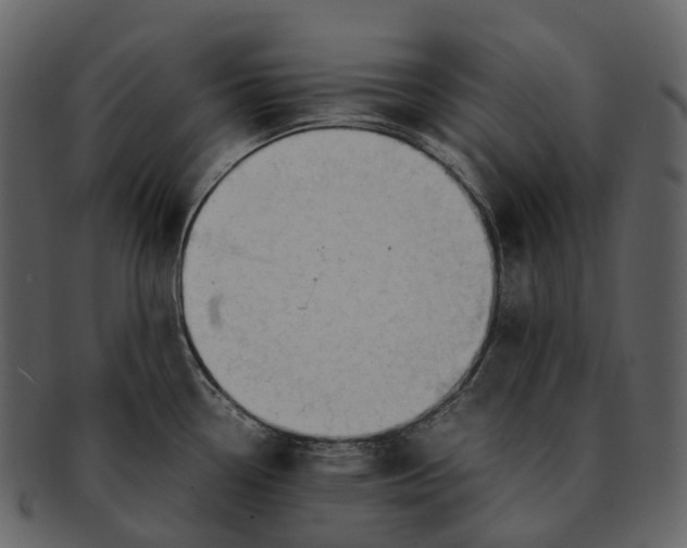X0000092331338200710051308
