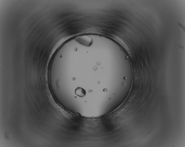 X0000092331339200710051308