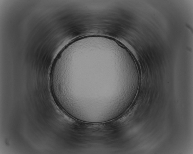 X0000092331341200710051308