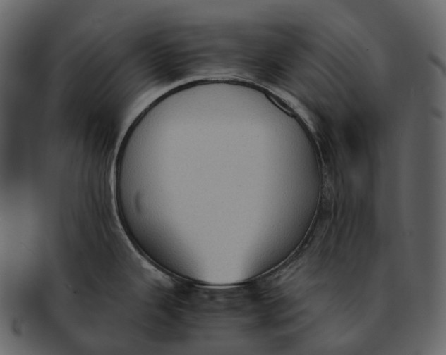 X0000092331343200710051308