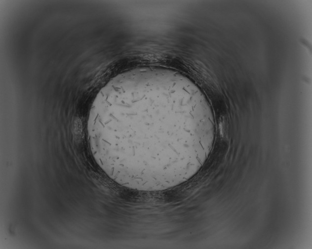 X0000092331347200710051307
