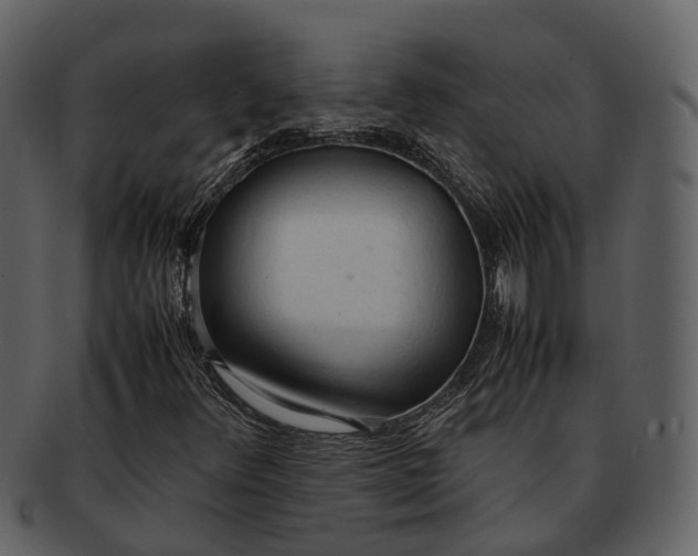 X0000092331348200710051307