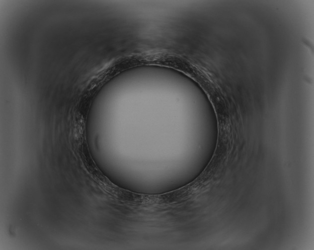 X0000092331349200710051307