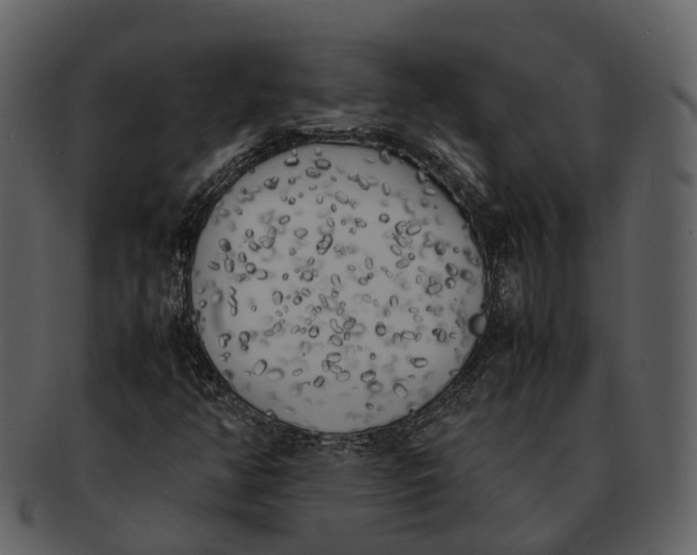 X0000092331350200710051307