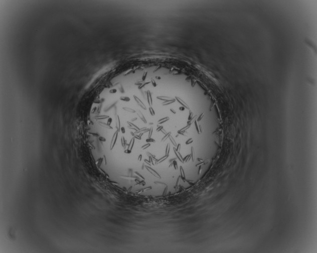 X0000092331351200710051307