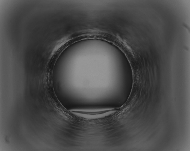 X0000092331352200710051307