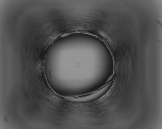 X0000092331353200710051307