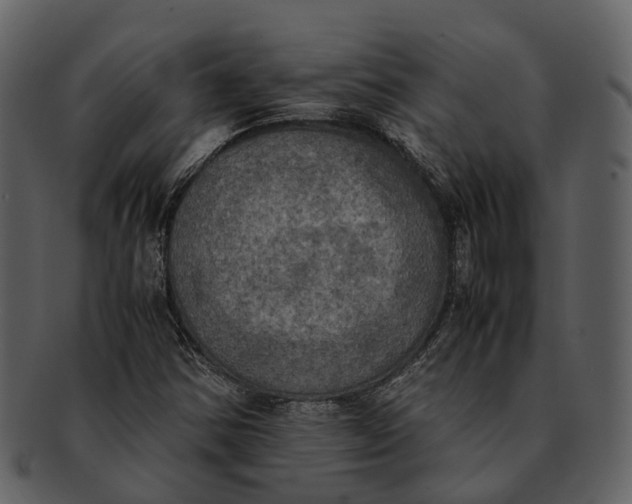 X0000092331354200710051307