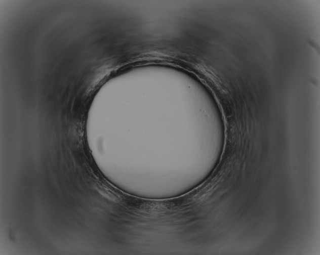 X0000092331355200710051307