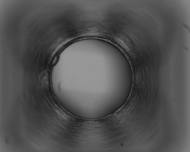 X0000092331356200710051307