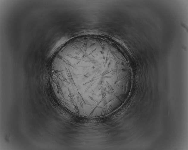 X0000092331359200710051307