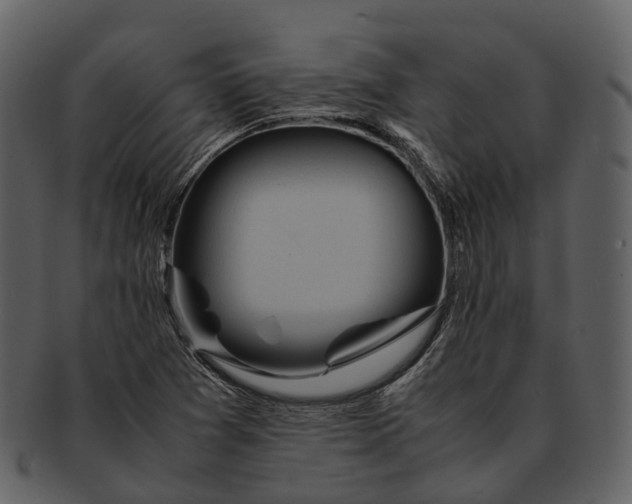X0000092331361200710051307