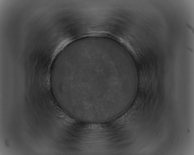 X0000092331362200710051307