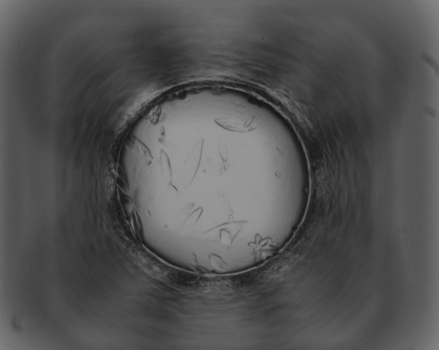 X0000092331363200710051307
