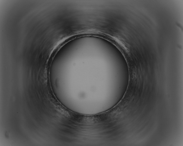 X0000092331364200710051307