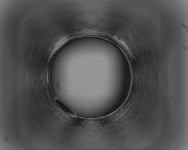 X0000092331365200710051307