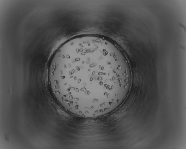 X0000092331366200710051307