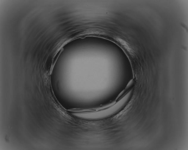 X0000092331369200710051307