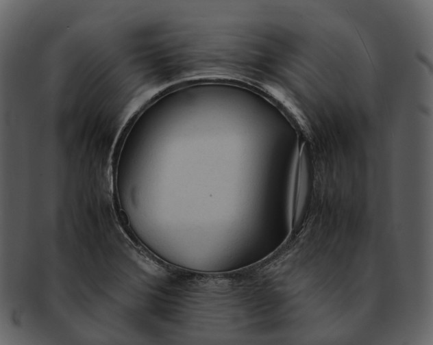 X0000092331372200710051307