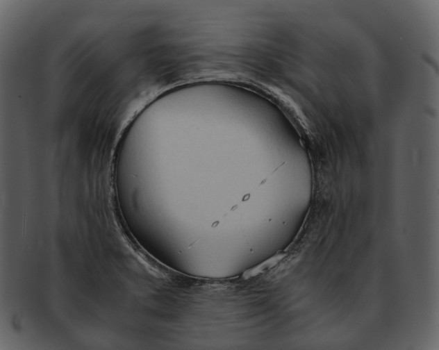 X0000092331373200710051307