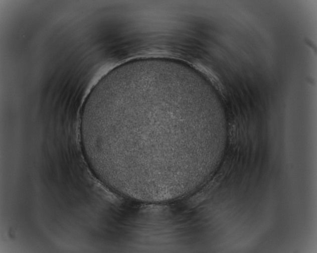 X0000092331374200710051307