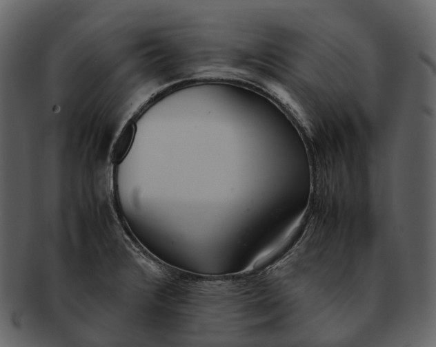 X0000092331376200710051307