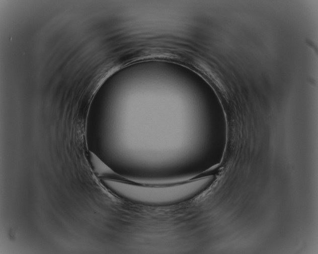 X0000092331377200710051307