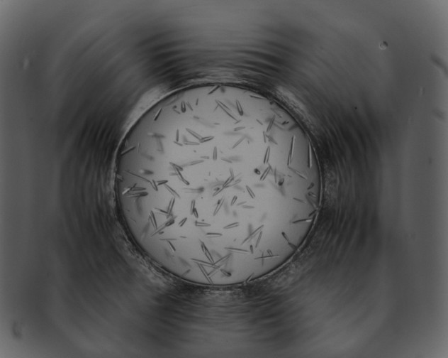 X0000092331378200710051307