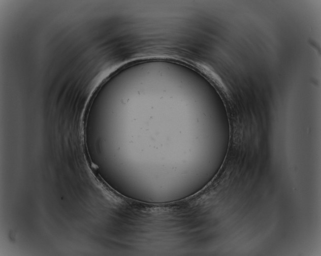X0000092331380200710051307