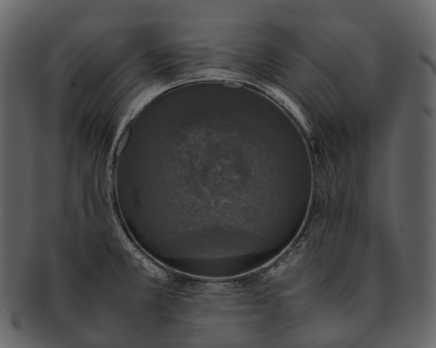 X0000092331381200710051307