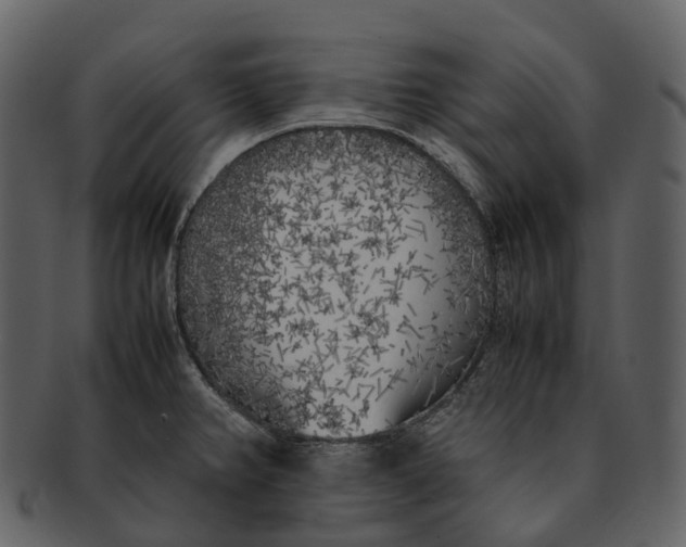 X0000092331382200710051307